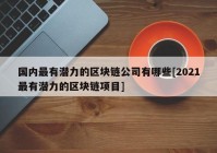 国内最有潜力的区块链公司有哪些[2021最有潜力的区块链项目]